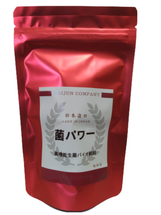 賽鴿日本進口活菌液